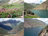 09 Wildflowers, Lake Lulusar In Kaghan Valley Wildflowers grow near Lake Lulusar (3350m), the source of the river Kunhar.